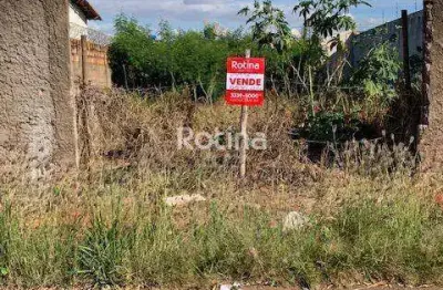 Terreno à venda, são jorge - uberlândia/mg - rotina imobiliária