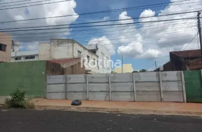 Terreno à venda, brasil - uberlândia/mg - rotina imobiliária