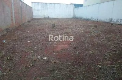 Terreno à venda, santa mônica - uberlândia/mg - rotina imobiliária