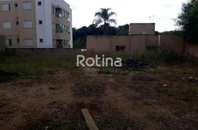 Terreno à venda, jardim inconfidência - uberlândia/mg - rotina imobiliária