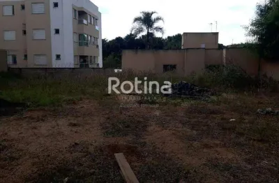 Terreno à venda, jardim inconfidência - uberlândia/mg - rotina imobiliária
