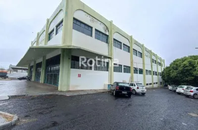 Galpão à venda, bom jesus - uberlândia/mg - rotina imobiliária