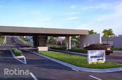 Terreno condomínio fechado à venda, cond. terras alpha - uberlândia/mg - rotina imobiliária