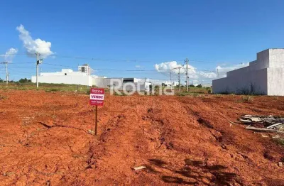 Terreno à venda, portal do vale - uberlândia/mg - rotina imobiliária