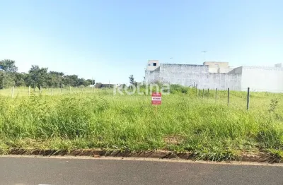 Terreno à venda, shopping park - uberlândia/mg - rotina imobiliária