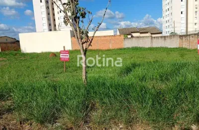 Terreno à venda na Rua Egna Aparecida Calura Pinto, --, Jardim Holanda, Uberlândia
