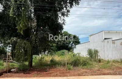 Terreno à venda, cidade jardim - uberlândia/mg - rotina imobiliária