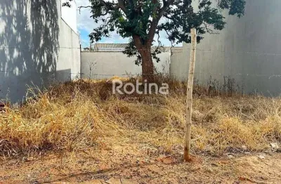 Terreno à venda, aclimação - uberlândia/mg - rotina imobiliária