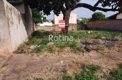 Terreno à venda, lagoinha - uberlândia/mg - rotina imobiliária