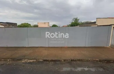 Terreno à venda, segismundo pereira - uberlândia/mg - rotina imobiliária