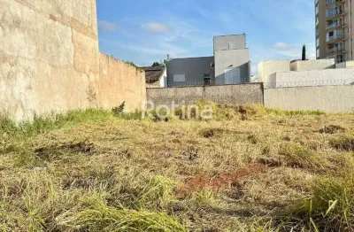 Terreno à venda, bosque dos buritis - uberlândia/mg - rotina imobiliária