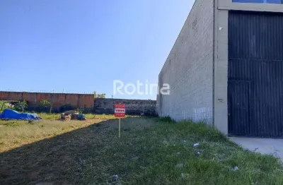 Terreno à venda, pampulha - uberlândia/mg - rotina imobiliária