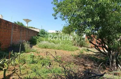 Terreno à venda, custódio pereira - uberlândia/mg - rotina imobiliária