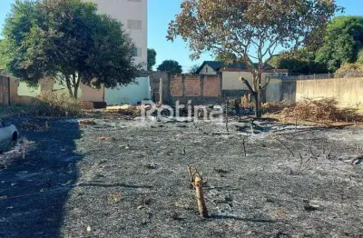 Área à venda, presidente roosevelt - uberlândia/mg - rotina imobiliária