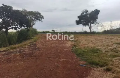 Área à venda, zona rural - uberlândia/mg - rotina imobiliária