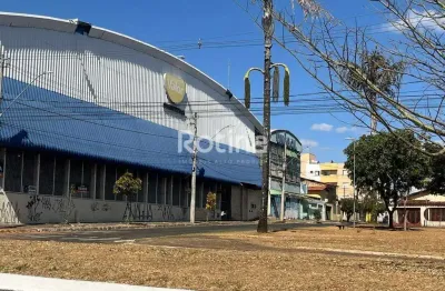 Área à venda, santa mônica - uberlândia/mg - rotina imobiliária