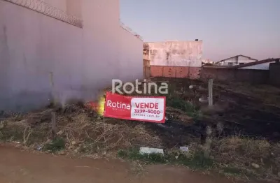 Terreno à venda, presidente roosevelt - uberlândia/mg - rotina imobiliária