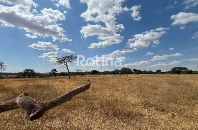 Fazenda à venda, zona rural - uberlândia/mg - rotina imobiliária
