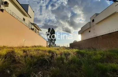 Terreno à venda, jardim inconfidência - uberlândia/mg - rotina imobiliária