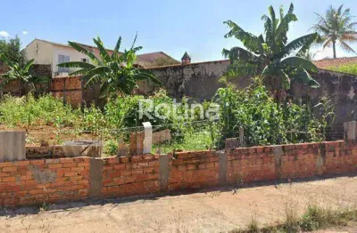 Terreno à venda, jardim patrícia - uberlândia/mg - rotina imobiliária