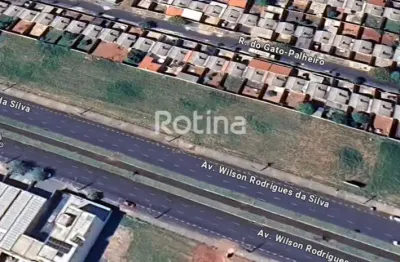Terreno à venda, loteamento residencial pequis - uberlândia/mg - rotina imobiliária