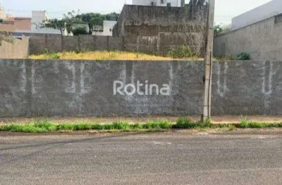 Terreno à venda, vigilato pereira - uberlândia/mg - rotina imobiliária
