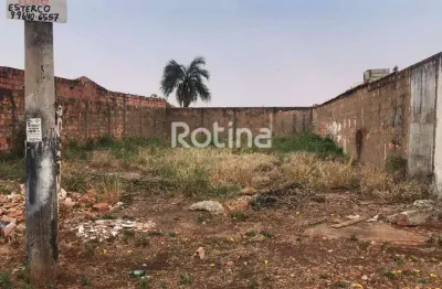 Terreno à venda, dona zulmira - uberlândia/mg - rotina imobiliária