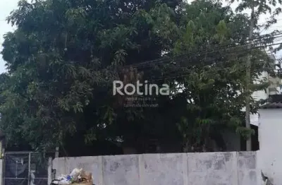 Terreno à venda, santa mônica - uberlândia/mg - rotina imobiliária