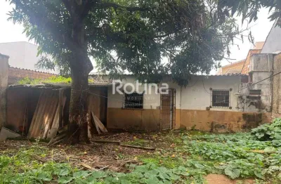Terreno à venda, custódio pereira - uberlândia/mg - rotina imobiliária