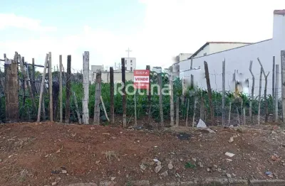 Terreno à venda, pampulha - uberlândia/mg - rotina imobiliária