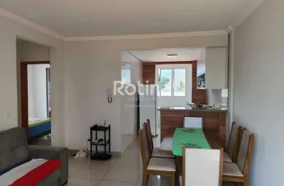 Apartamento à venda, 2 quartos, santa mônica - uberlândia/mg - rotina imobiliária