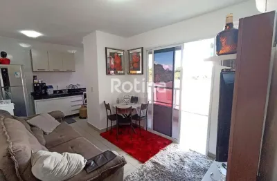 Apartamento à venda, 2 quartos, santa mônica - uberlândia/mg - rotina imobiliária