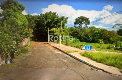 Terreno à venda, lagoinha - uberlândia/mg - rotina imobiliária