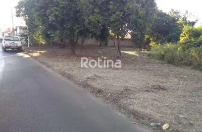 Terreno à venda, luizote de freitas - uberlândia/mg - rotina imobiliária