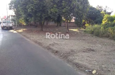 Terreno à venda, luizote de freitas - uberlândia/mg - rotina imobiliária