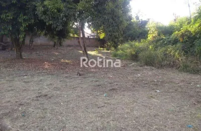 Terreno à venda, luizote de freitas - uberlândia/mg - rotina imobiliária