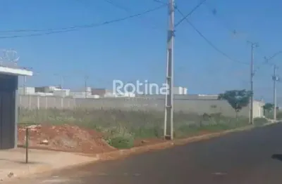 Terreno à venda, novo mundo - uberlândia/mg - rotina imobiliária