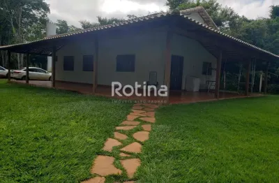 Chacara à venda, 5 quartos, rancho - indianópolis/mg - rotina imobiliária