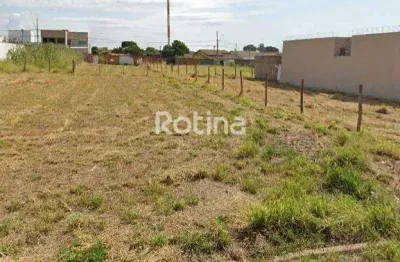 Terreno à venda, jardim ipanema - uberlândia/mg - rotina imobiliária
