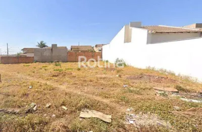 Terreno à venda, jardim ipanema - uberlândia/mg - rotina imobiliária