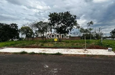 Terreno à venda, jardim inconfidência - uberlândia/mg - rotina imobiliária