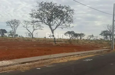 Terreno à venda, loteamento luizote de freitas iv - uberlândia/mg - rotina imobiliária