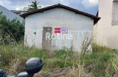 Terreno à venda, cidade jardim - uberlândia/mg - rotina imobiliária