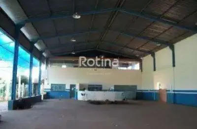 Área à venda, santa mônica - uberlândia/mg - rotina imobiliária
