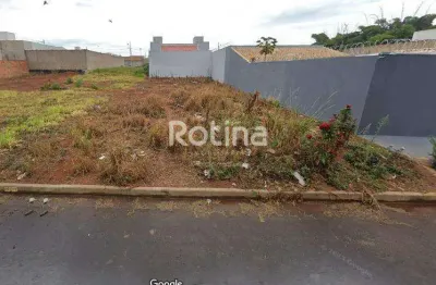 Terreno à venda, minas gerais - uberlândia/mg - rotina imobiliária