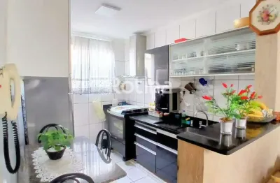 Cobertura à venda, 3 quartos, martins - uberlândia/mg - rotina imobiliária