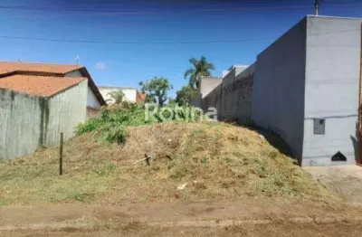 Terreno à venda, cidade jardim - uberlândia/mg - rotina imobiliária