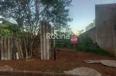 Terreno à venda, santa luzia - uberlândia/mg - rotina imobiliária