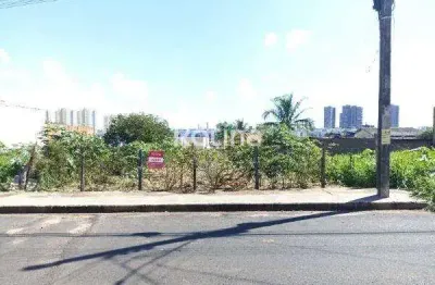 Terreno à venda, shopping park - uberlândia/mg - rotina imobiliária