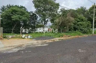 Terreno à venda, cidade jardim - uberlândia/mg - rotina imobiliária